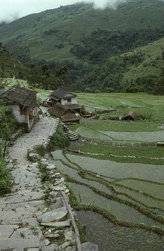 RWT 0177 191-21 Nepal 2000 ft of Stairs.jpg